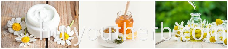 chamomile extract powder